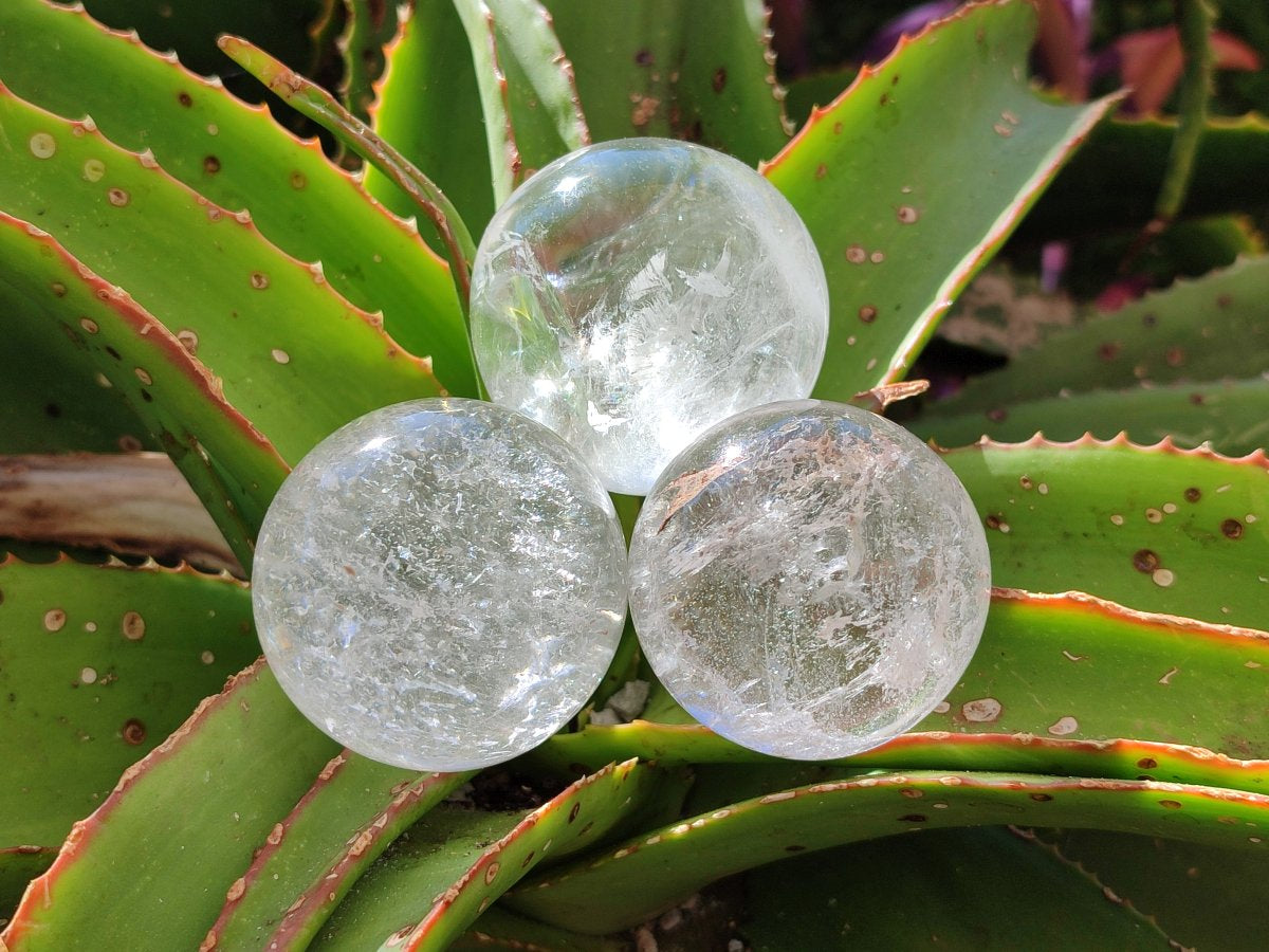 Polished Clear Quartz Crystal Balls x 6 From Madagascar