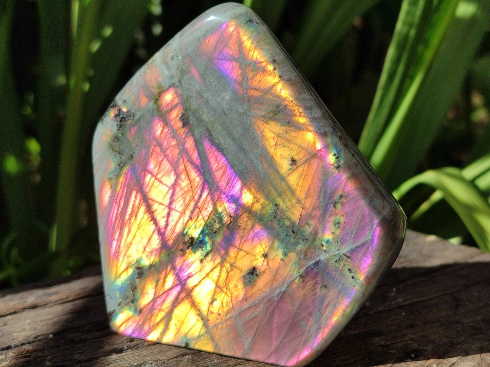 Polished Rare Purple Sunset Flash Labradorite Standing Free Forms x 3 From Madagascar