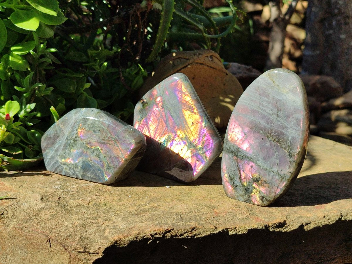 Polished Rare Purple Sunset Flash Labradorite Standing Free Forms x 3 From Madagascar
