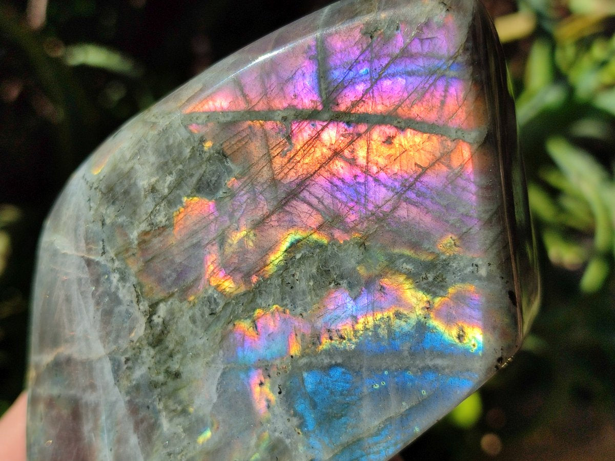 Polished Rare Purple Sunset Flash Labradorite Standing Free Forms x 3 From Madagascar