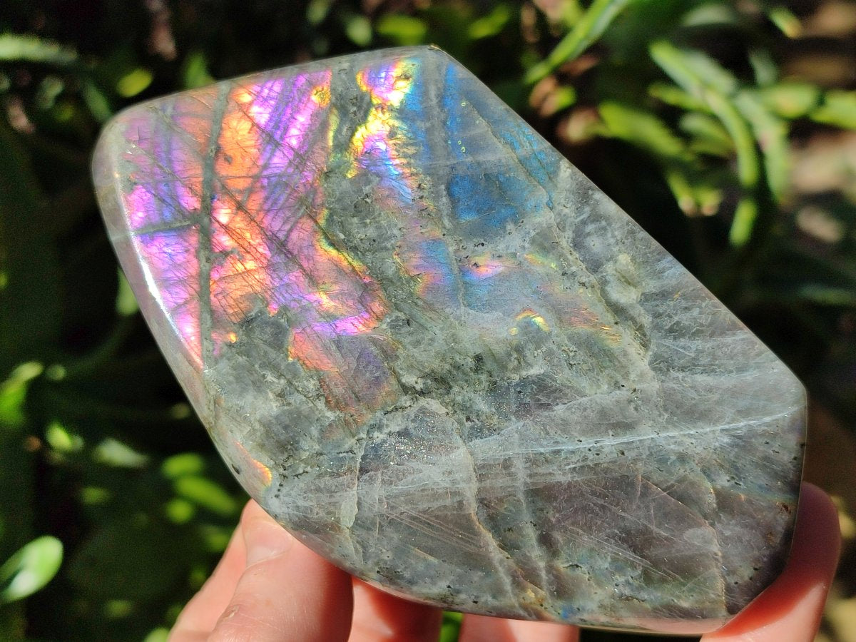 Polished Rare Purple Sunset Flash Labradorite Standing Free Forms x 3 From Madagascar