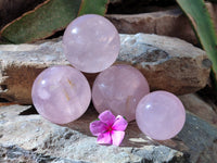 Polished Gemmy Star Rose Quartz Spheres x 4 From Madagascar