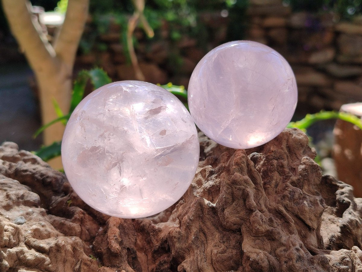 Polished Gemmy Star Rose Quartz Spheres x 4 From Madagascar