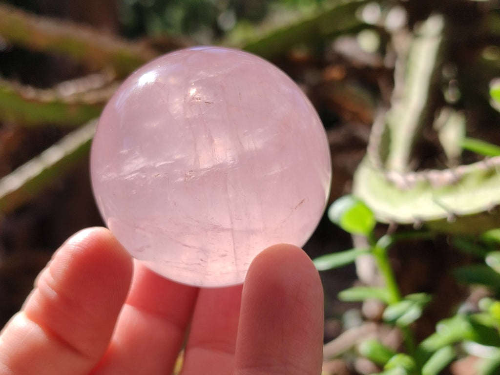Polished Gemmy Star Rose Quartz Spheres x 4 From Madagascar