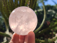 Polished Gemmy Star Rose Quartz Spheres x 4 From Madagascar