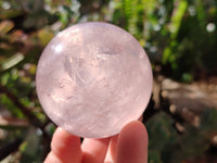 Polished Gemmy Star Rose Quartz Spheres x 4 From Madagascar
