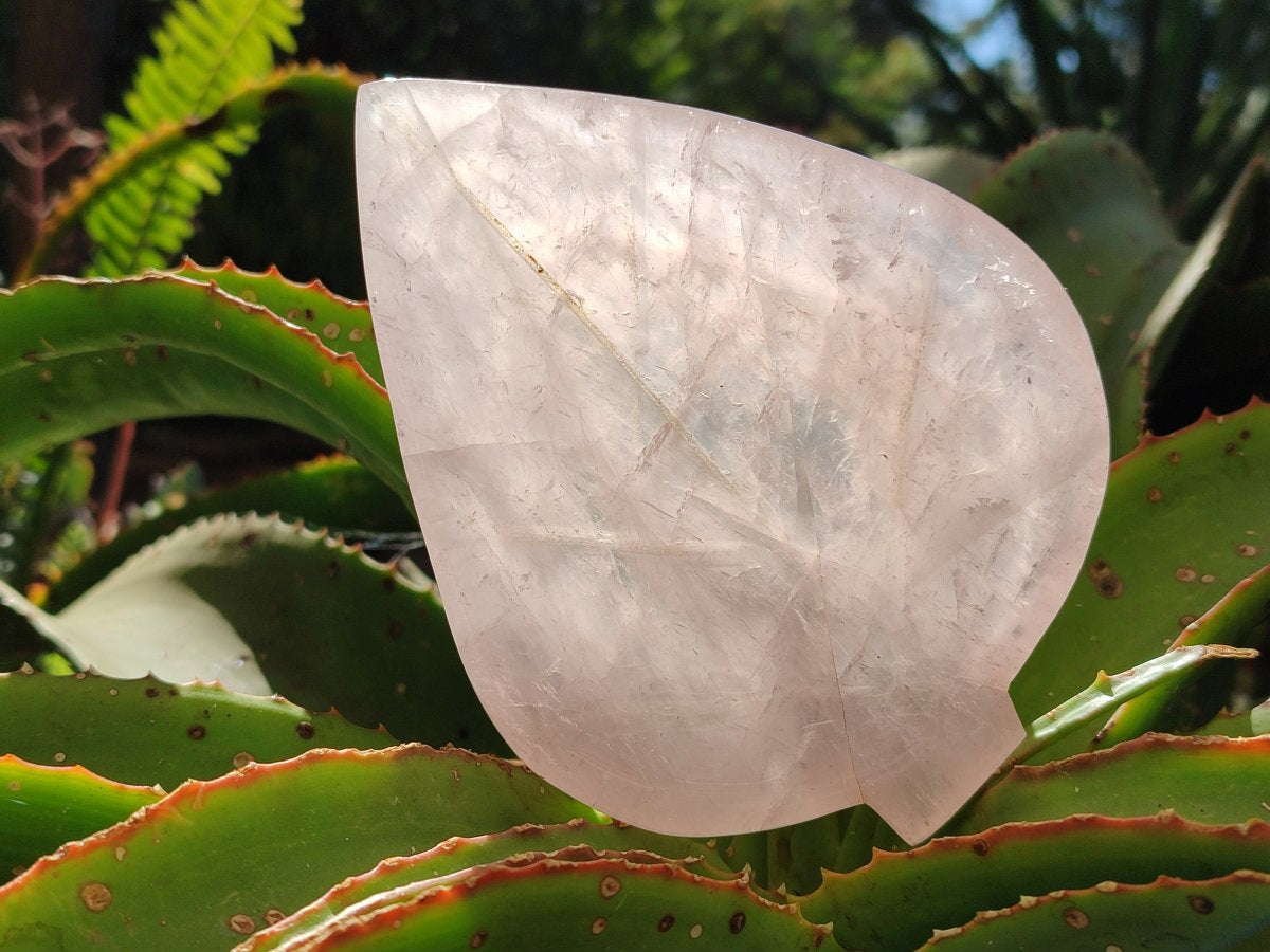 Hand Made Gemmy Rose Quartz Leaf Bowls x 6 From Madagascar