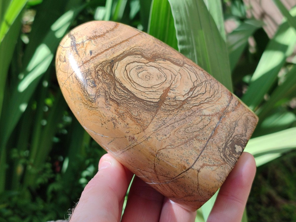 Polished Picture Stone Jasper Standing Free Forms x 2 From Ais-Ais, Namibia