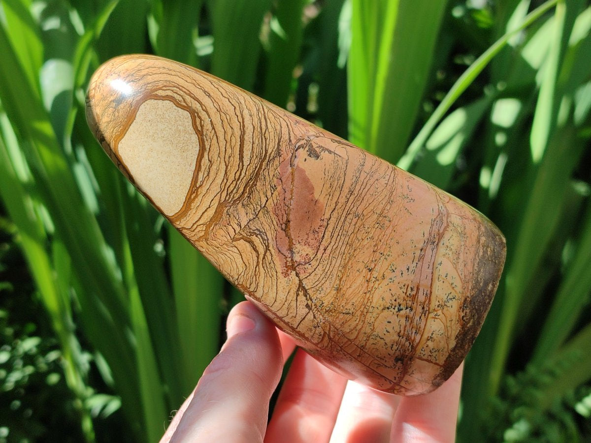 Polished Picture Stone Jasper Standing Free Forms x 2 From Ais-Ais, Namibia