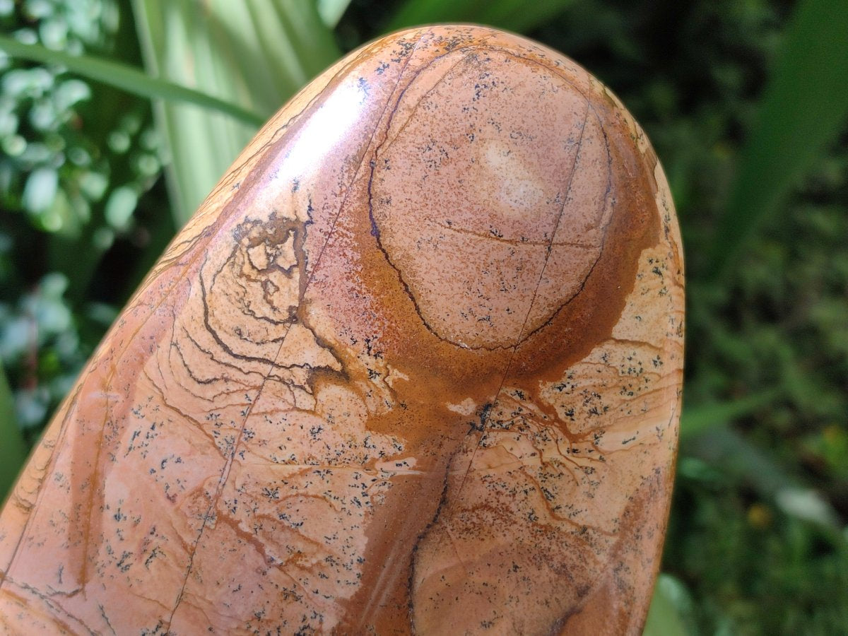 Polished Picture Stone Jasper Standing Free Forms x 2 From Ais-Ais, Namibia
