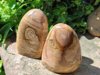 Polished Picture Stone Jasper Standing Free Forms x 2 From Ais-Ais, Namibia