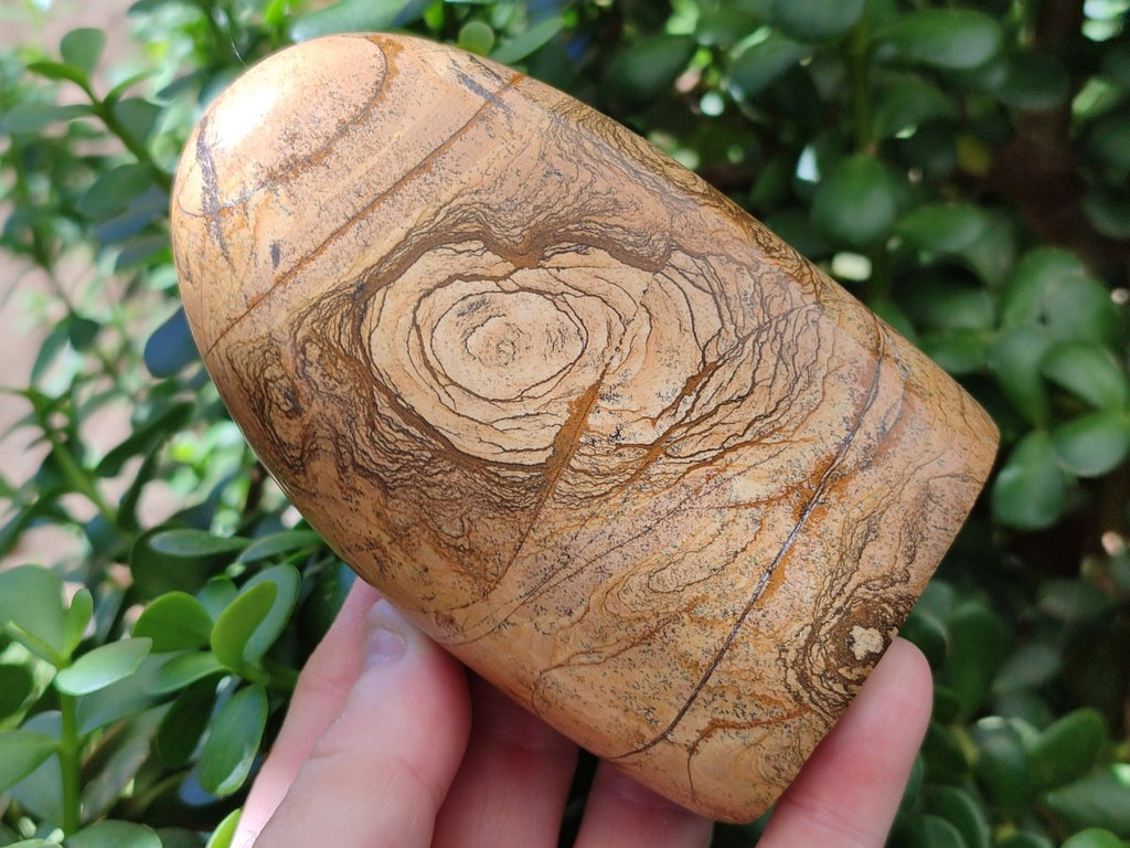 Polished Picture Stone Jasper Standing Free Forms x 2 From Ais-Ais, Namibia