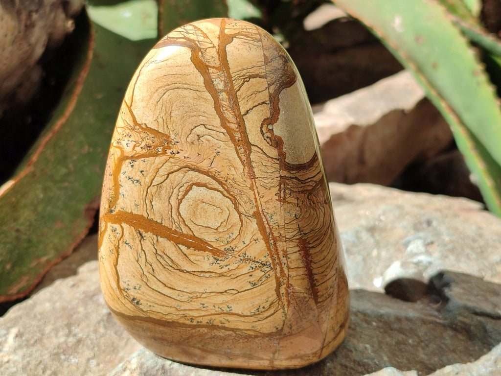 Polished Picture Stone Jasper Standing Free Forms x 2 From Ais-Ais, Namibia