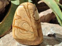 Polished Picture Stone Jasper Standing Free Forms x 2 From Ais-Ais, Namibia