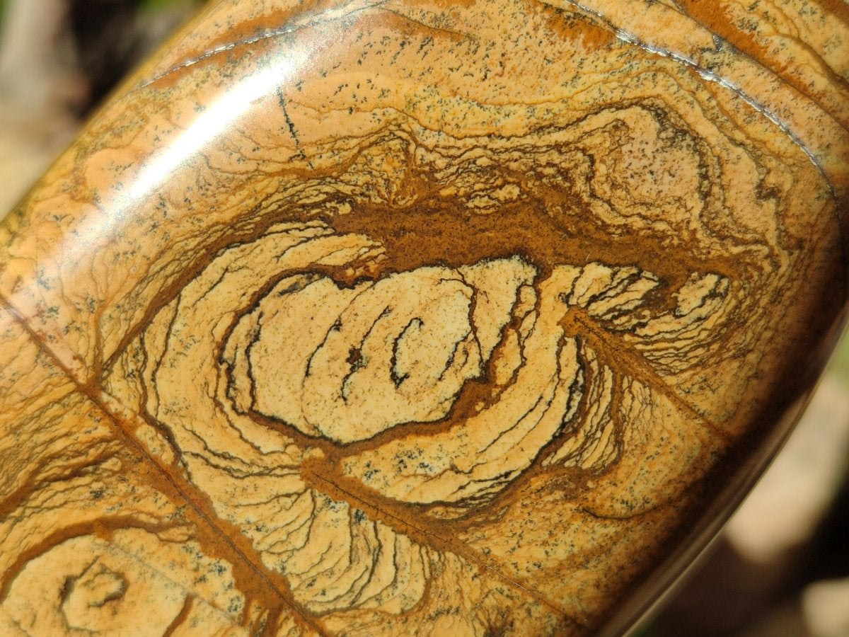 Polished Picture Stone Jasper Standing Free Forms x 2 From Ais-Ais, Namibia