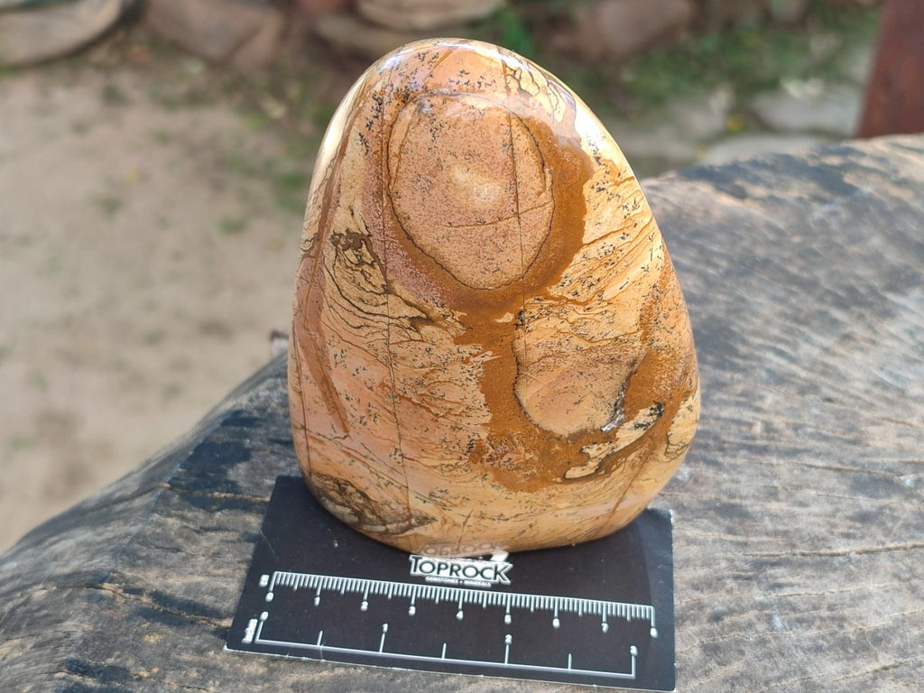 Polished Picture Stone Jasper Standing Free Forms x 2 From Ais-Ais, Namibia