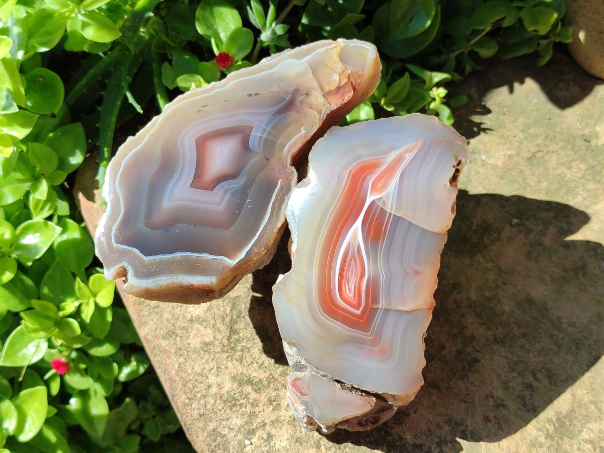 Polished Red Shashe River Agate Nodules x 3 From Shashe River, Zimbabwe