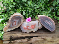 Polished Red Shashe River Agate Nodules x 3 From Shashe River, Zimbabwe