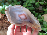 Polished Red Shashe River Agate Nodules x 3 From Shashe River, Zimbabwe