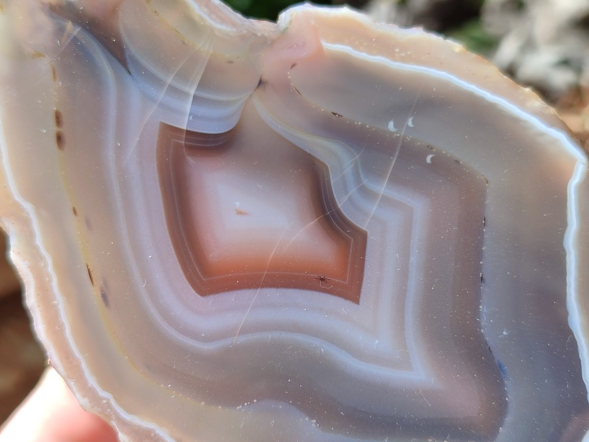 Polished Red Shashe River Agate Nodules x 3 From Shashe River, Zimbabwe