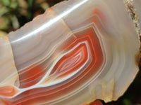 Polished Red Shashe River Agate Nodules x 3 From Shashe River, Zimbabwe