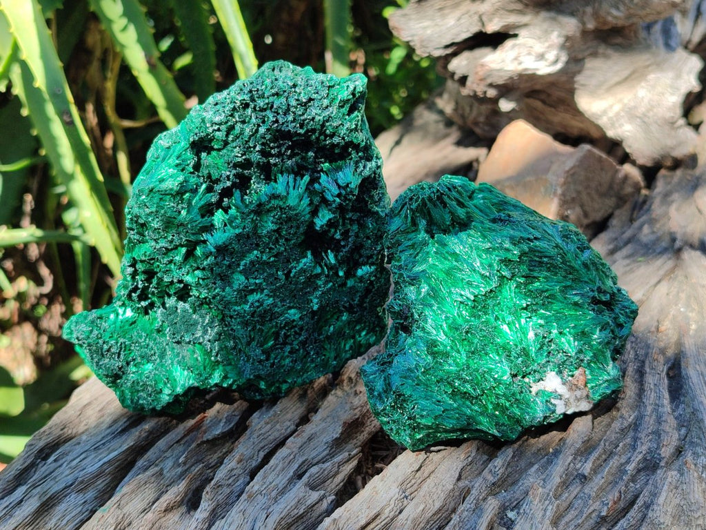 Natural Silky Malachite Specimens x 3 From Kasompe, Congo
