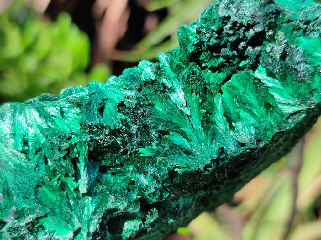 Natural Silky Malachite Specimens x 3 From Kasompe, Congo