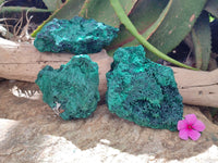 Natural Silky Malachite Specimens x 3 From Kasompe, Congo