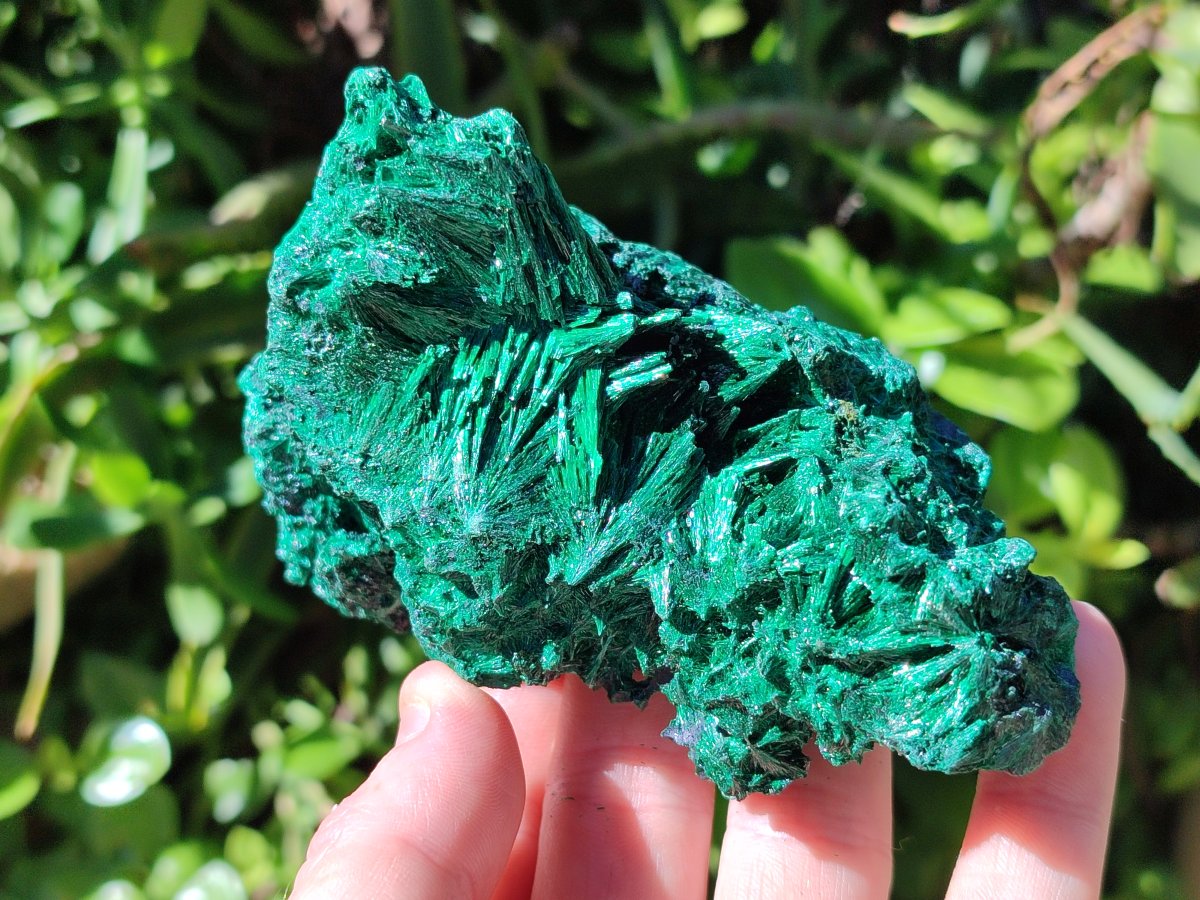 Natural Silky Malachite Specimens x 3 From Kasompe, Congo