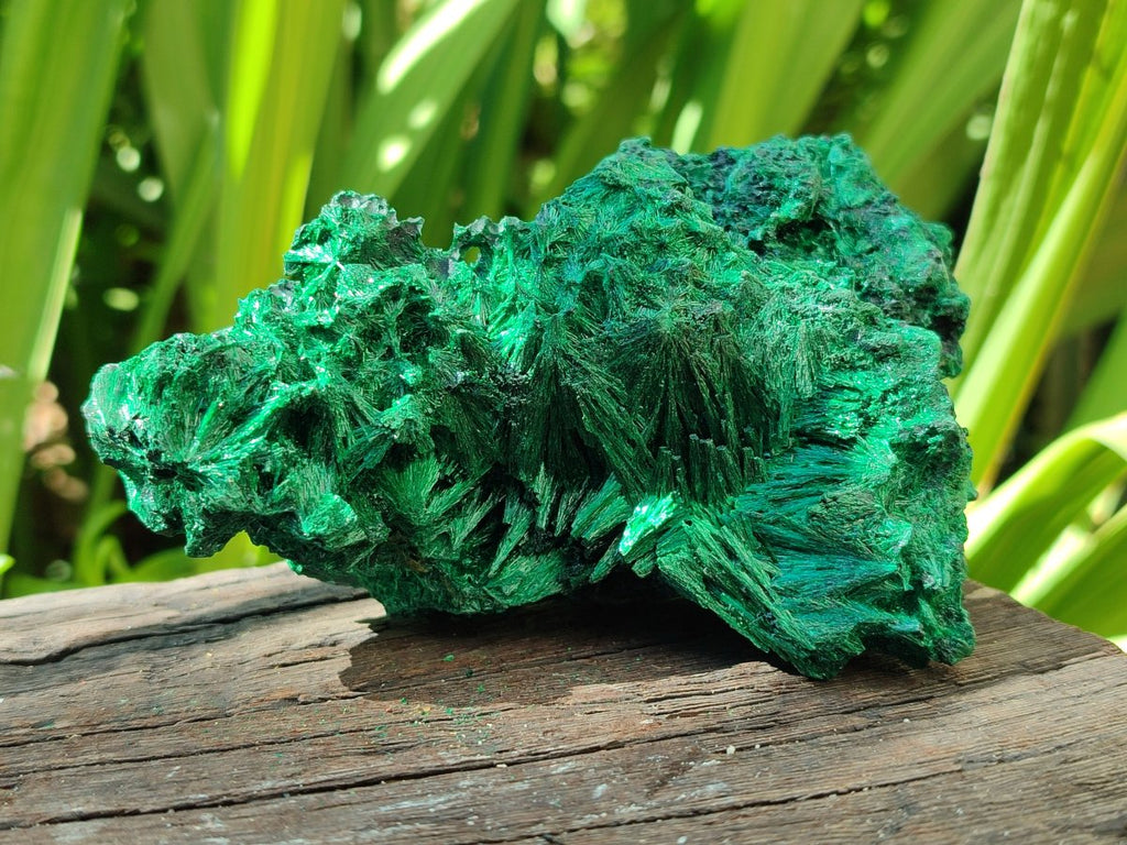 Natural Silky Malachite Specimens x 3 From Kasompe, Congo