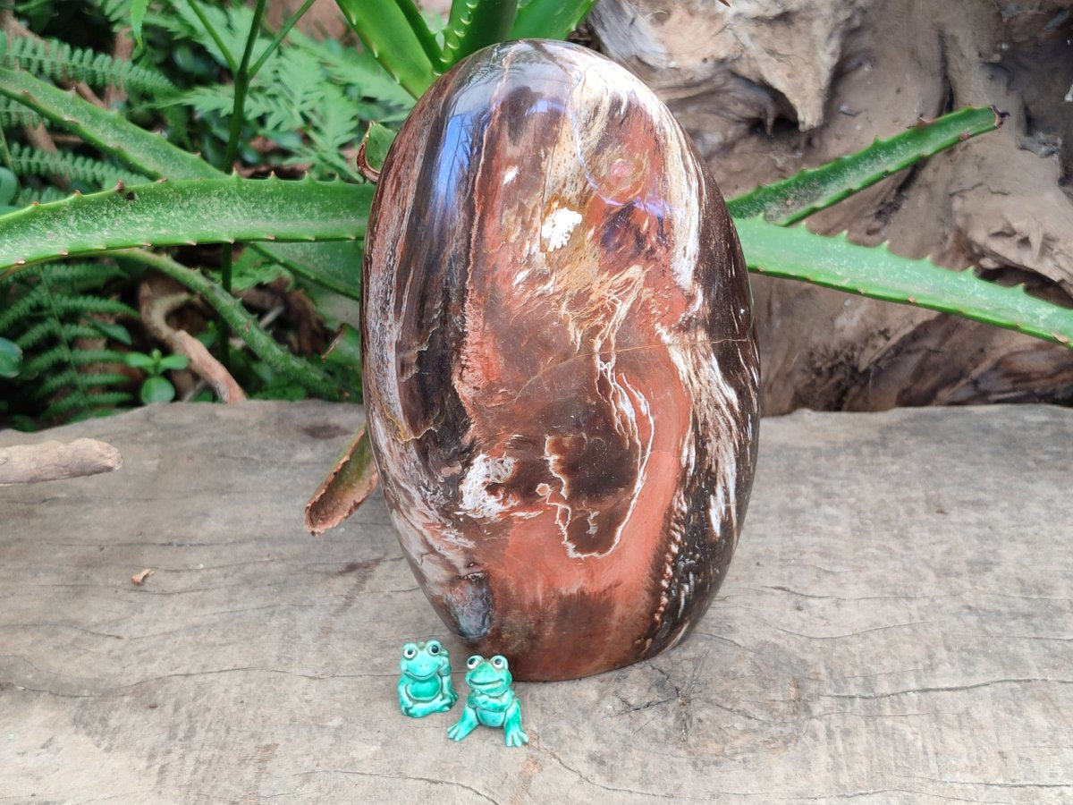 Polished Red Podocarpus Petrified Wood Standing Free Form x 1 From Mahajanga, Madagascar
