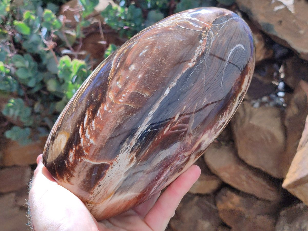 Polished Red Podocarpus Petrified Wood Standing Free Form x 1 From Mahajanga, Madagascar