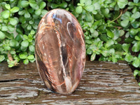 Polished Red Podocarpus Petrified Wood Standing Free Form x 1 From Mahajanga, Madagascar