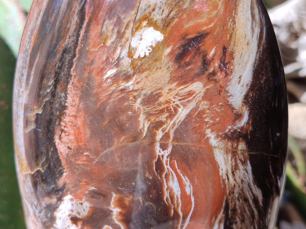 Polished Red Podocarpus Petrified Wood Standing Free Form x 1 From Mahajanga, Madagascar