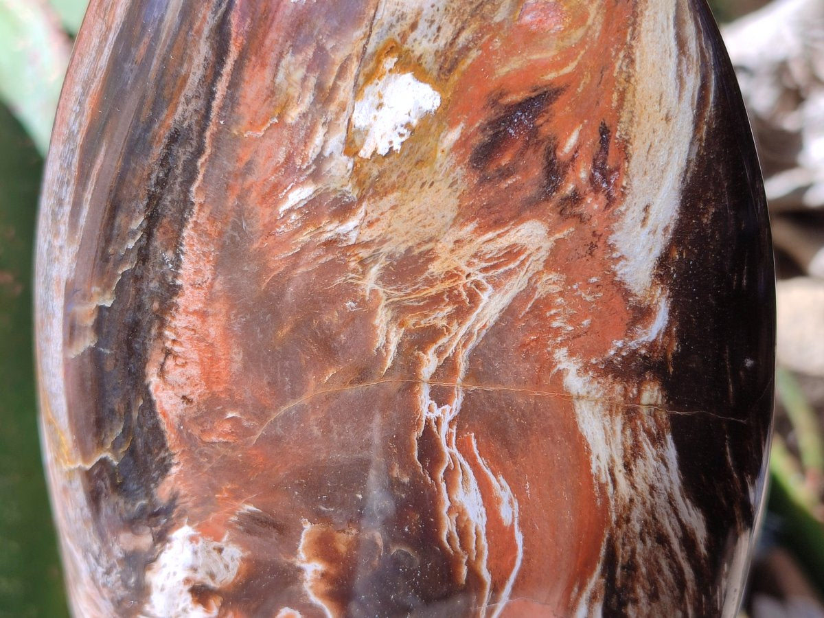Polished Red Podocarpus Petrified Wood Standing Free Form x 1 From Mahajanga, Madagascar