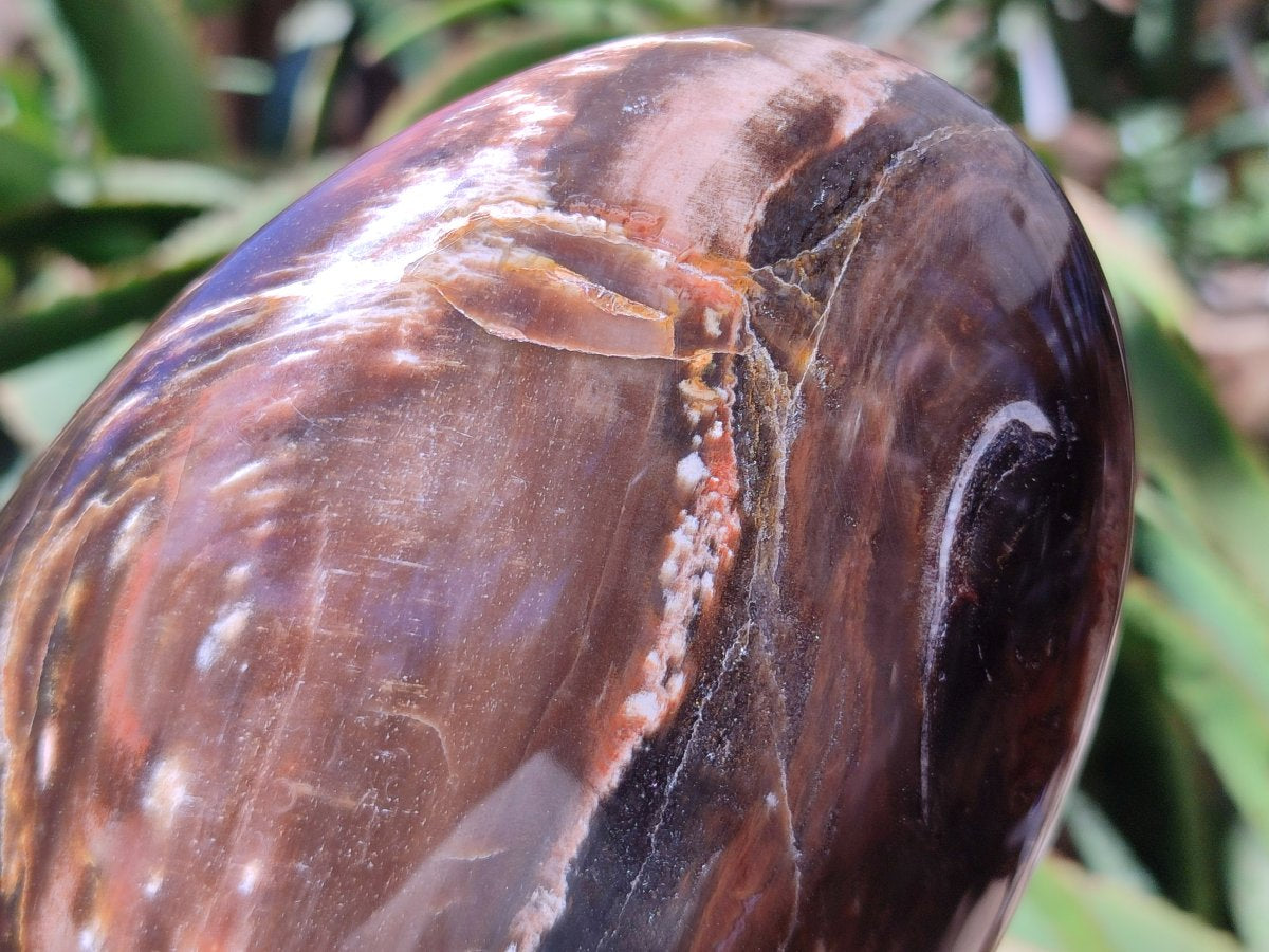 Polished Red Podocarpus Petrified Wood Standing Free Form x 1 From Mahajanga, Madagascar