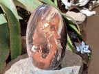 Polished Red Podocarpus Petrified Wood Standing Free Form x 1 From Mahajanga, Madagascar