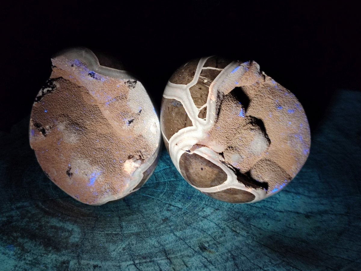 Polished Septerye Sauvage "Dragons Egg" Geode x 2 From Mahajanga, Madagascar