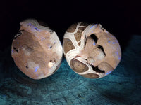 Polished Septerye Sauvage "Dragons Egg" Geode x 2 From Mahajanga, Madagascar