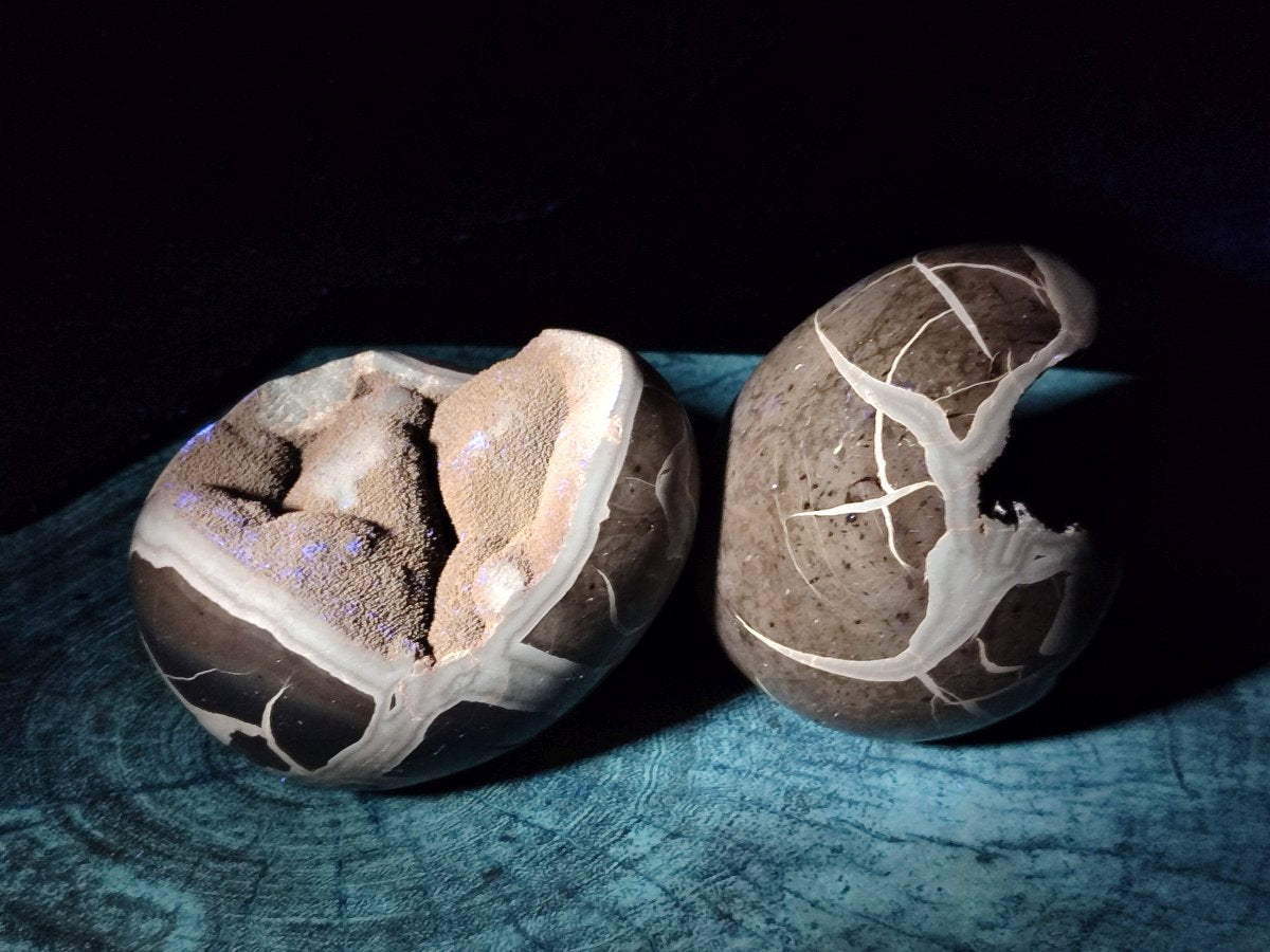 Polished Septerye Sauvage "Dragons Egg" Geode x 2 From Mahajanga, Madagascar