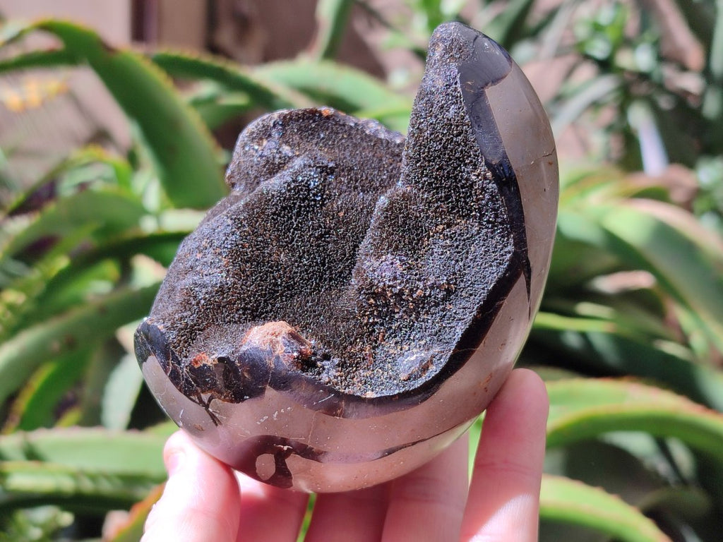 Polished Septerye Sauvage "Dragons Egg" Geode x 2 From Mahajanga, Madagascar