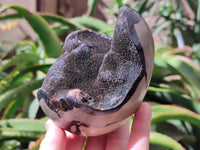 Polished Septerye Sauvage "Dragons Egg" Geode x 2 From Mahajanga, Madagascar