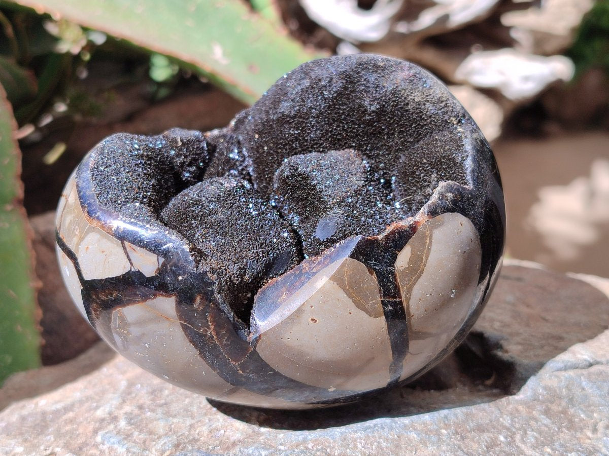 Polished Septerye Sauvage "Dragons Egg" Geode x 2 From Mahajanga, Madagascar