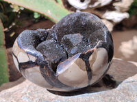 Polished Septerye Sauvage "Dragons Egg" Geode x 2 From Mahajanga, Madagascar