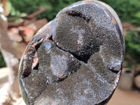 Polished Septerye Sauvage "Dragons Egg" Geode x 2 From Mahajanga, Madagascar