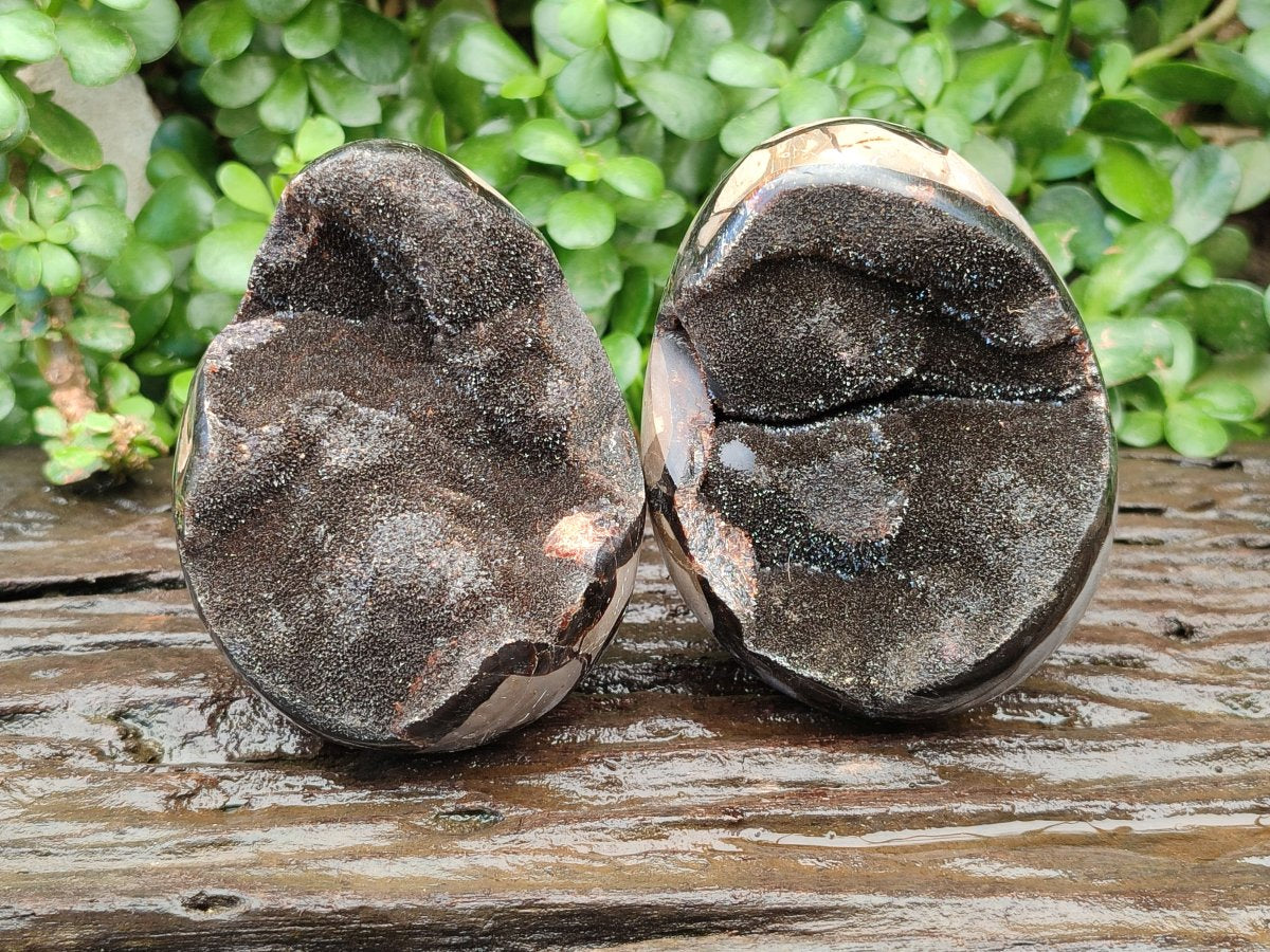 Polished Septerye Sauvage "Dragons Egg" Geode x 2 From Mahajanga, Madagascar