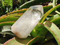 Polished Smokey Window Quartz Crystals x 2 From Madagascar