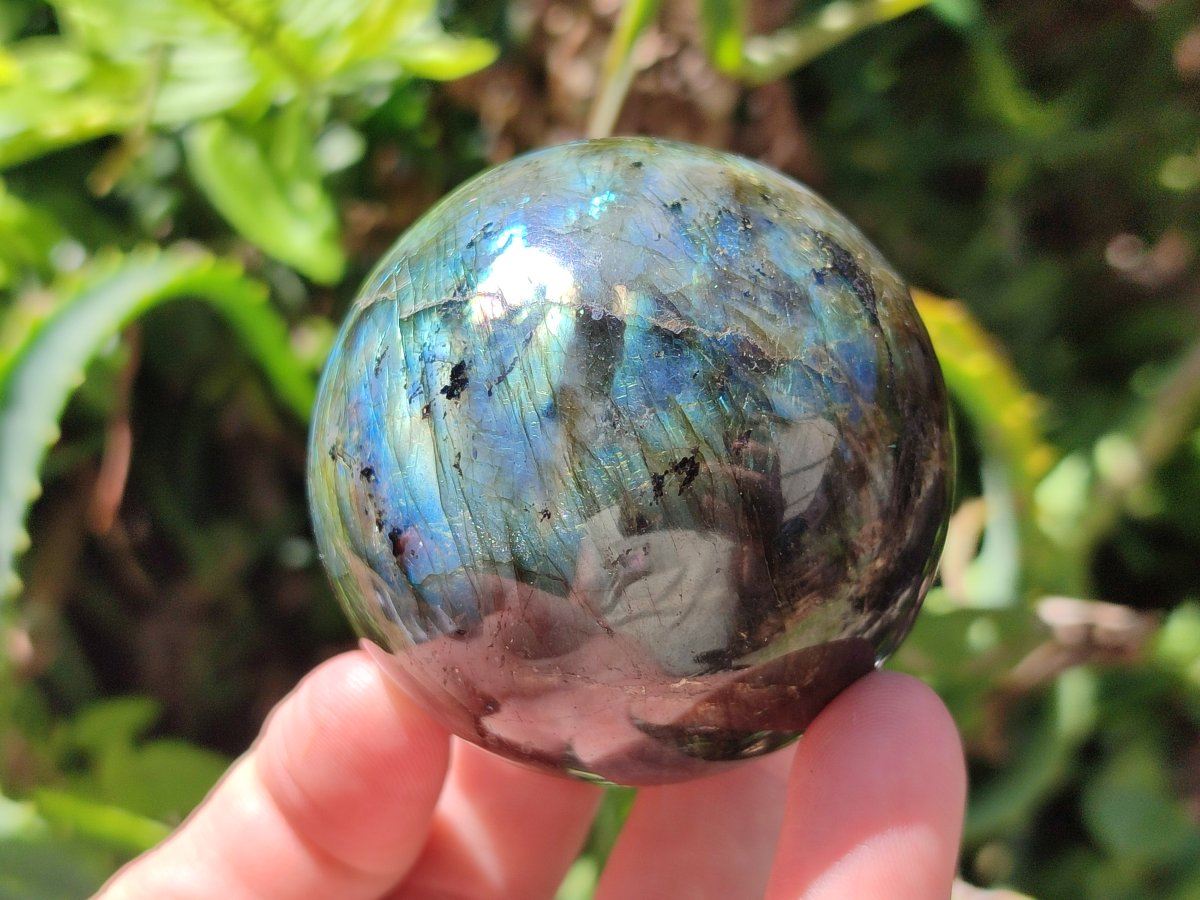 Polished Labradorite Spheres x 6 From Madagascar