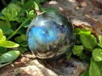 Polished Labradorite Spheres x 6 From Madagascar