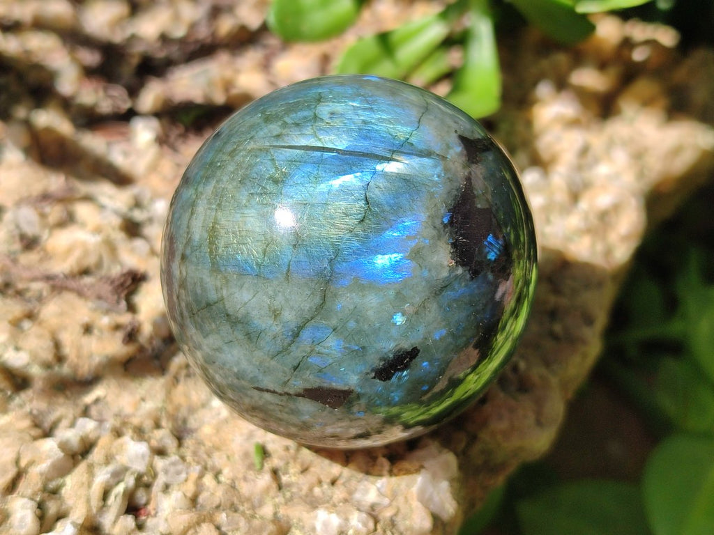 Polished Labradorite Spheres x 6 From Madagascar